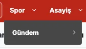 Header Navigation — Submenu Dark