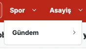 Header Navigation — Submenu Light